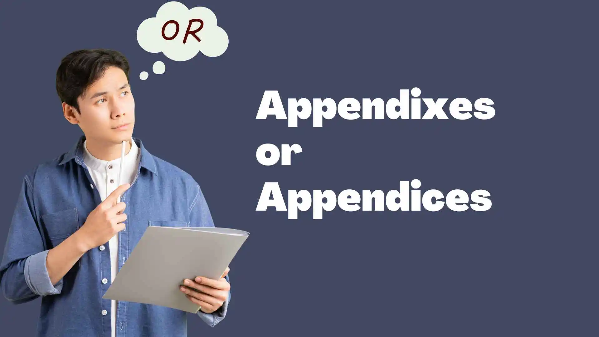 Appendixes or Appendices